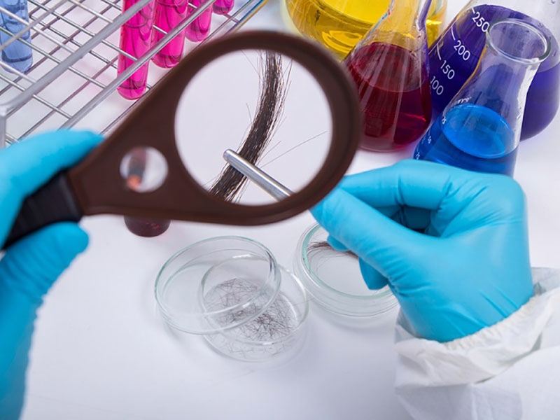 Examen Toxicológico